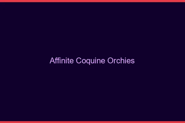 Affinité Coquine Orchies