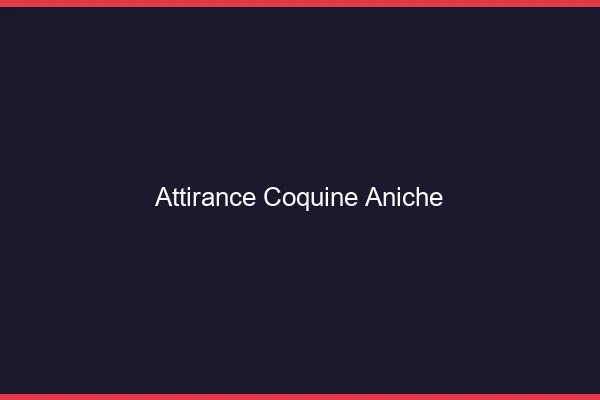 Attirance Coquine Aniche