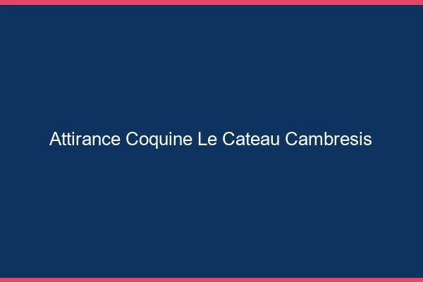 Attirance Coquine Le Cateau-Cambrésis