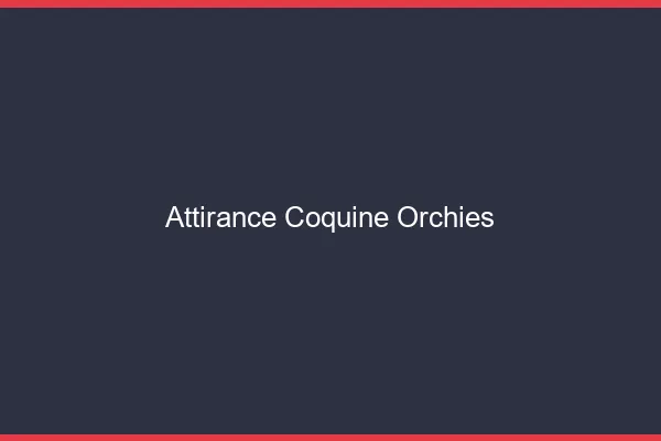 Attirance Coquine Orchies