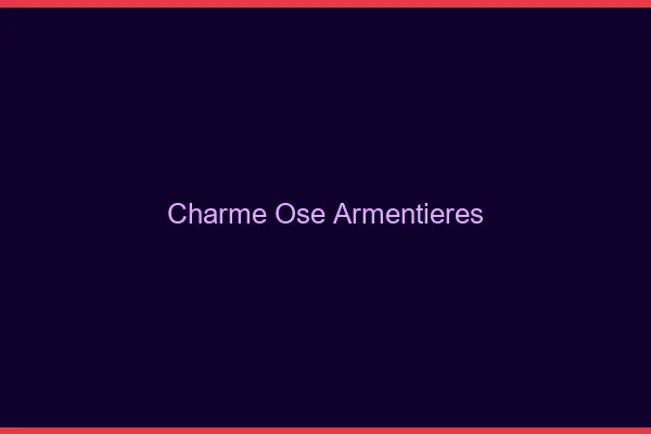Charme Osé Armentières