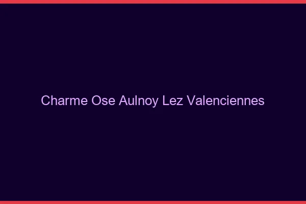 Charme Osé Aulnoy-lez-Valenciennes