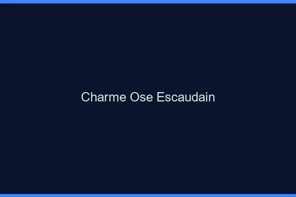 Charme Osé Escaudain