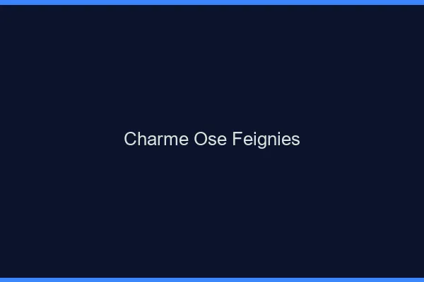 Charme Osé Feignies