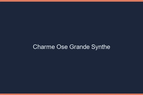 Charme Osé Grande-Synthe