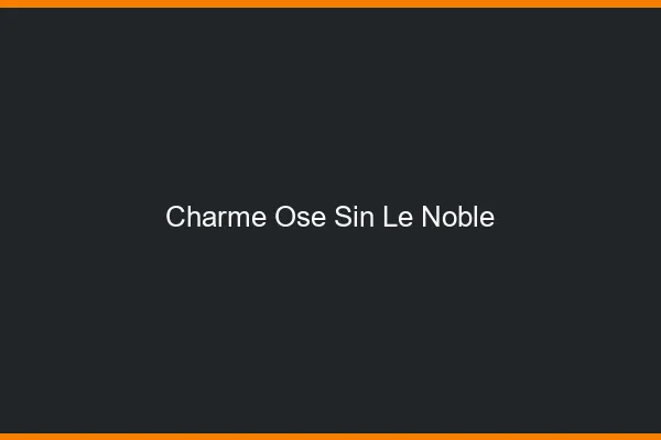 Charme Osé Sin-le-Noble
