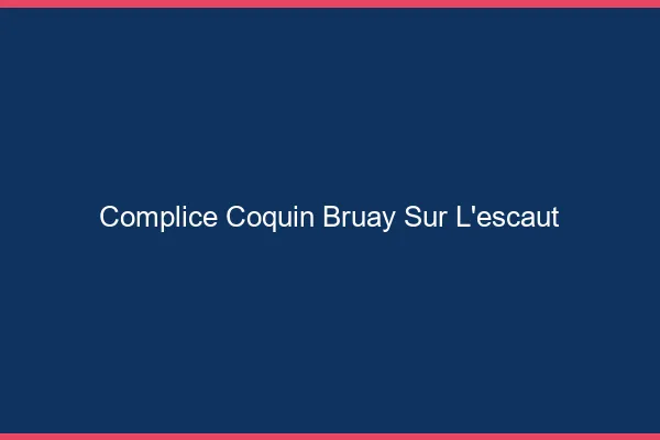 Complice Coquin Bruay-sur-l'Escaut