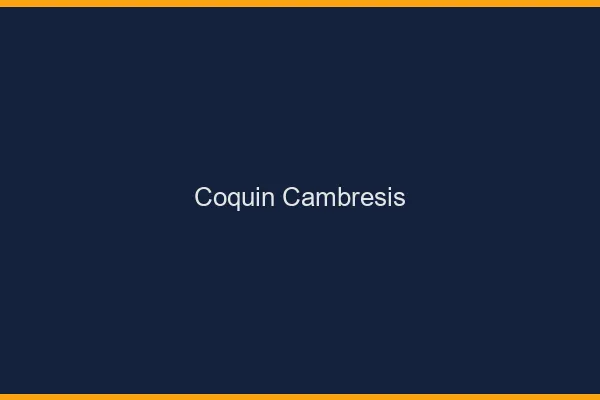 Coquin Cambrésis