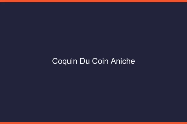 Coquin du Coin Aniche