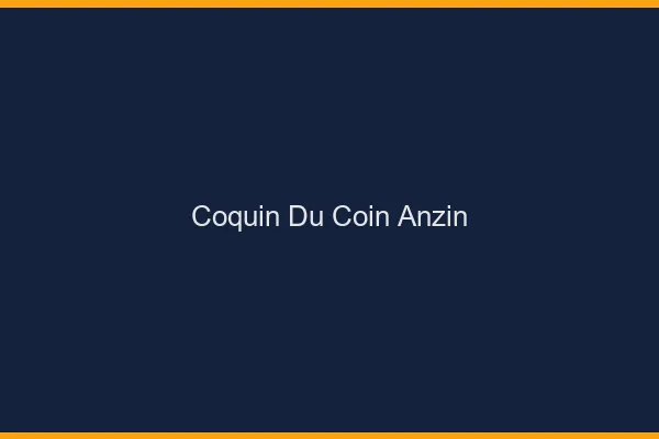 Coquin du Coin Anzin