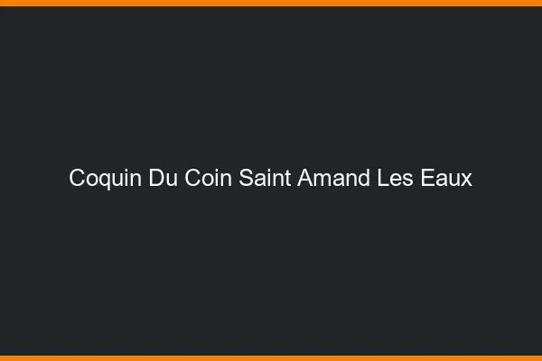 Coquin du Coin Saint-Amand-les-Eaux
