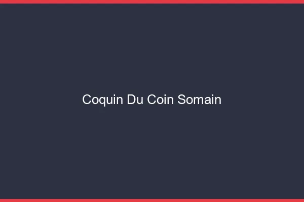 Coquin du Coin Somain