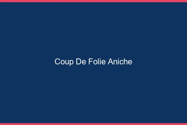 Coup de Folie Aniche
