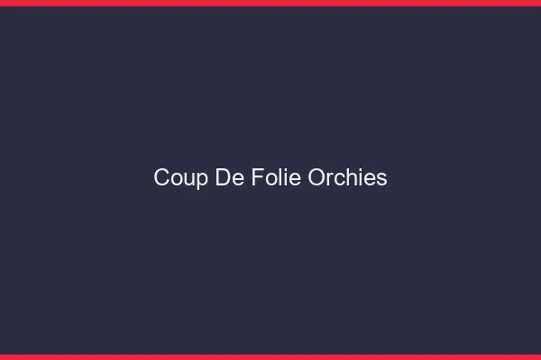 Coup de Folie Orchies