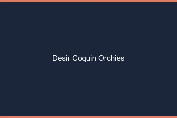 Désir Coquin Orchies