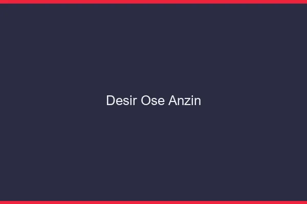 Désir Osé Anzin