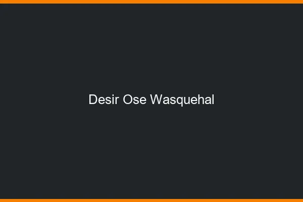 Désir Osé Wasquehal