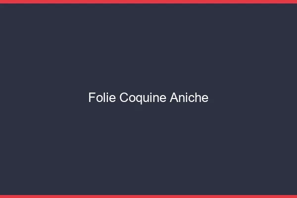 Folie Coquine Aniche