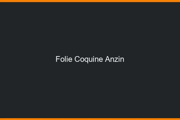 Folie Coquine Anzin