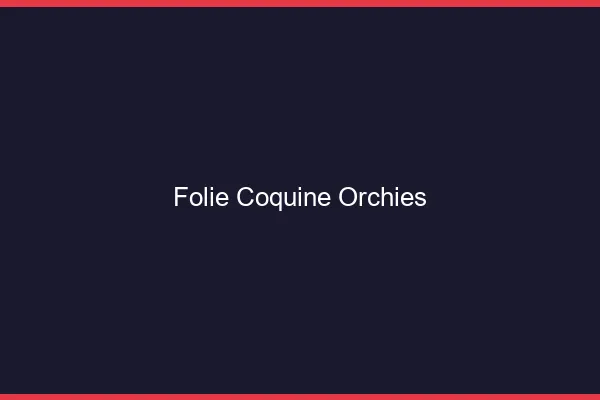Folie Coquine Orchies