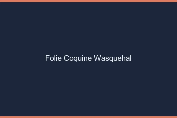 Folie Coquine Wasquehal