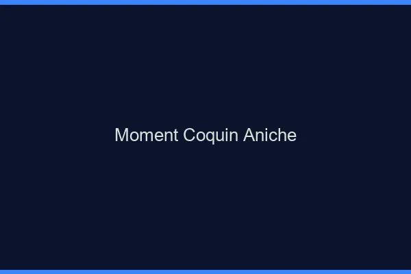 Moment Coquin Aniche