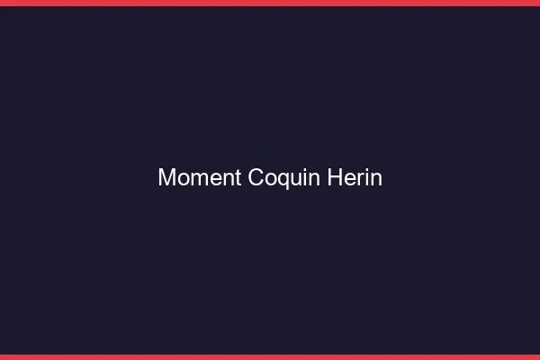 Moment Coquin Hérin