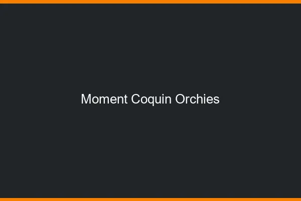 Moment Coquin Orchies