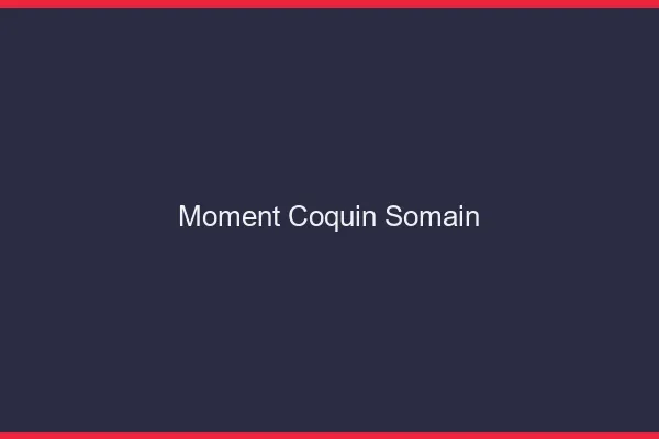 Moment Coquin Somain