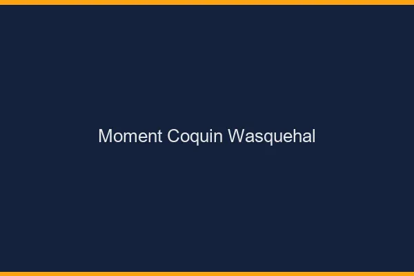 Moment Coquin Wasquehal