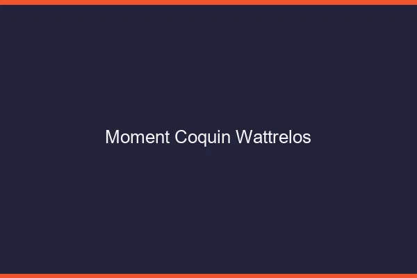 Moment Coquin Wattrelos