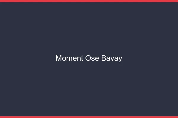 Moment Osé Bavay