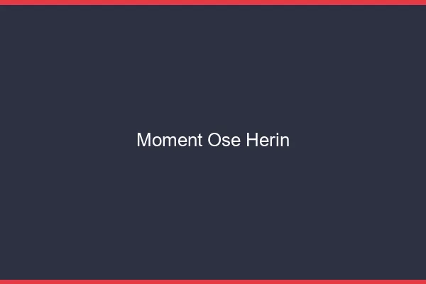 Moment Osé Hérin