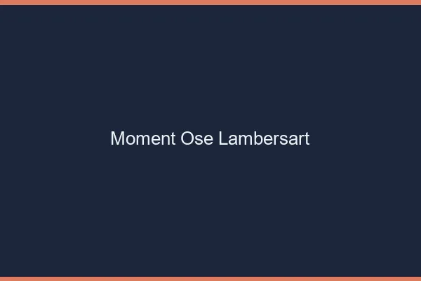 Moment Osé Lambersart