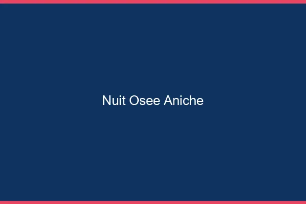 Nuit Osée Aniche