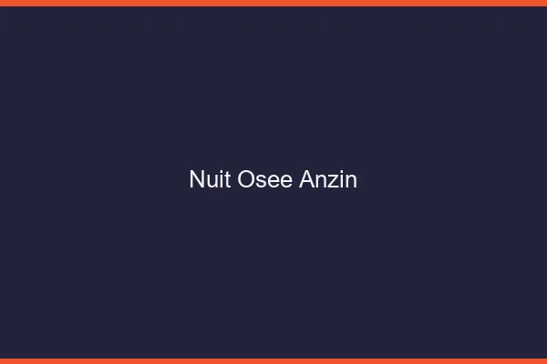 Nuit Osée Anzin