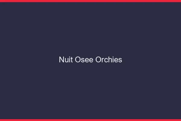 Nuit Osée Orchies