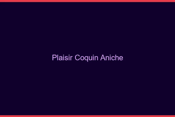 Plaisir Coquin Aniche