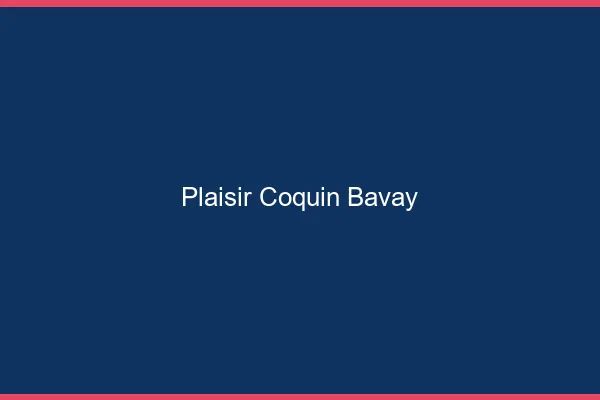 Plaisir Coquin Bavay