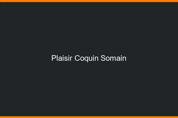 Plaisir Coquin Somain