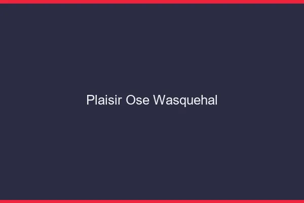 Plaisir Osé Wasquehal