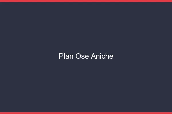 Plan Osé Aniche