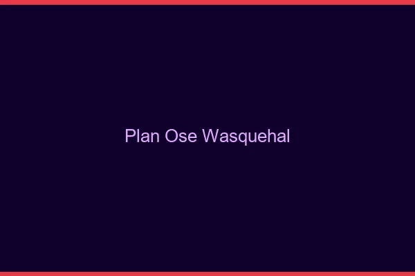 Plan Osé Wasquehal