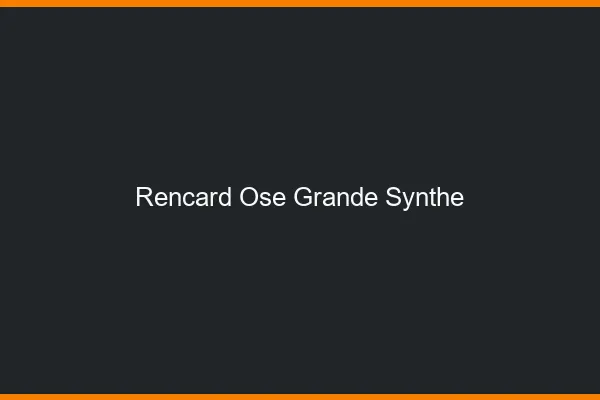 Rencard Osé Grande-Synthe