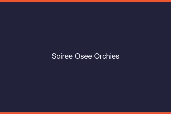 Soirée Osée Orchies