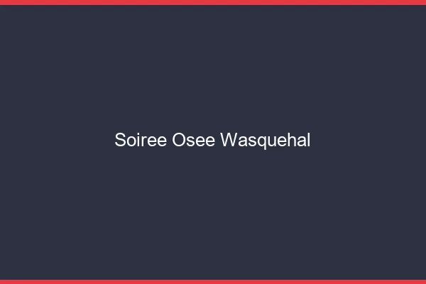Soirée Osée Wasquehal